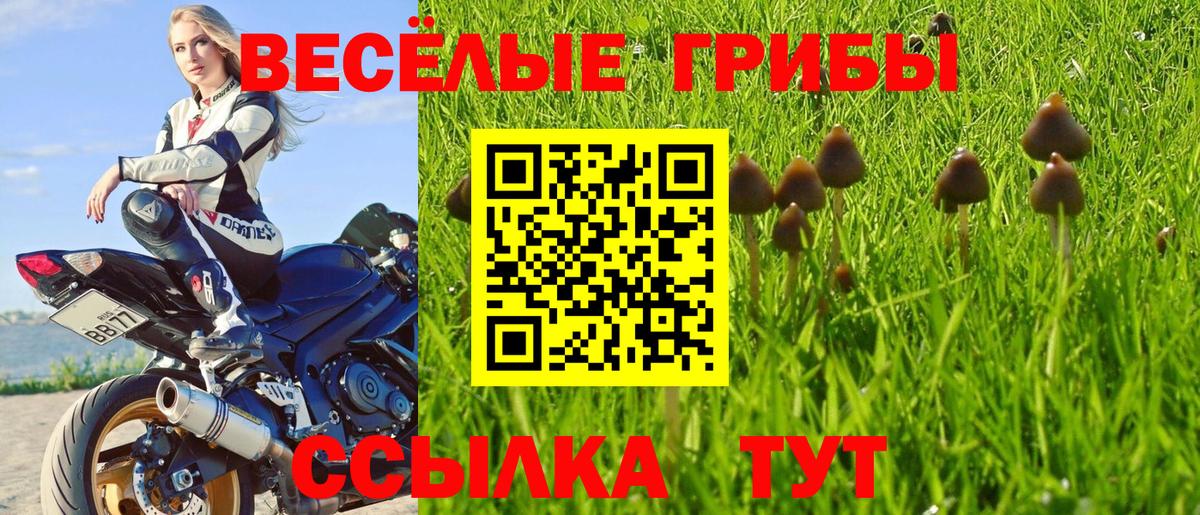 Галлюциногенные грибы Psilocybe Лесной
