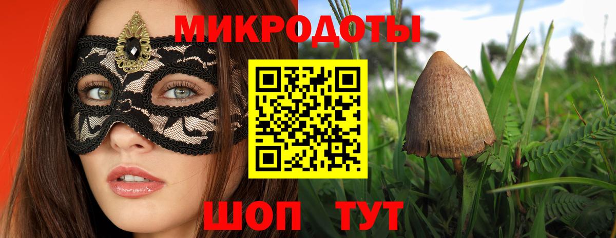 Лесной  Галлюциногенные грибы Cubensis  Вход с VPN 