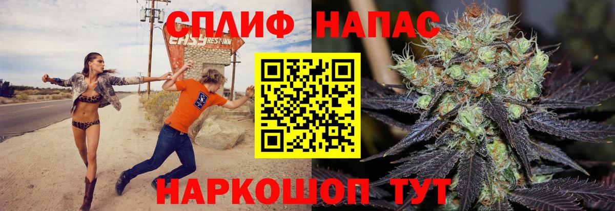 Конопля конопля Лесной